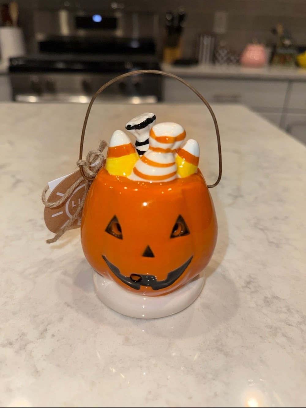 New Mud Pie Pumpkin Basket Light Up Sitter